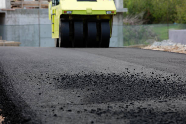 Best Custom Driveway Pavers  in Walnut Ridge, AR