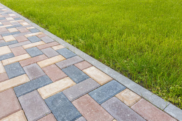 Best Driveway Paving Contractor  in Walnut Ridge, AR